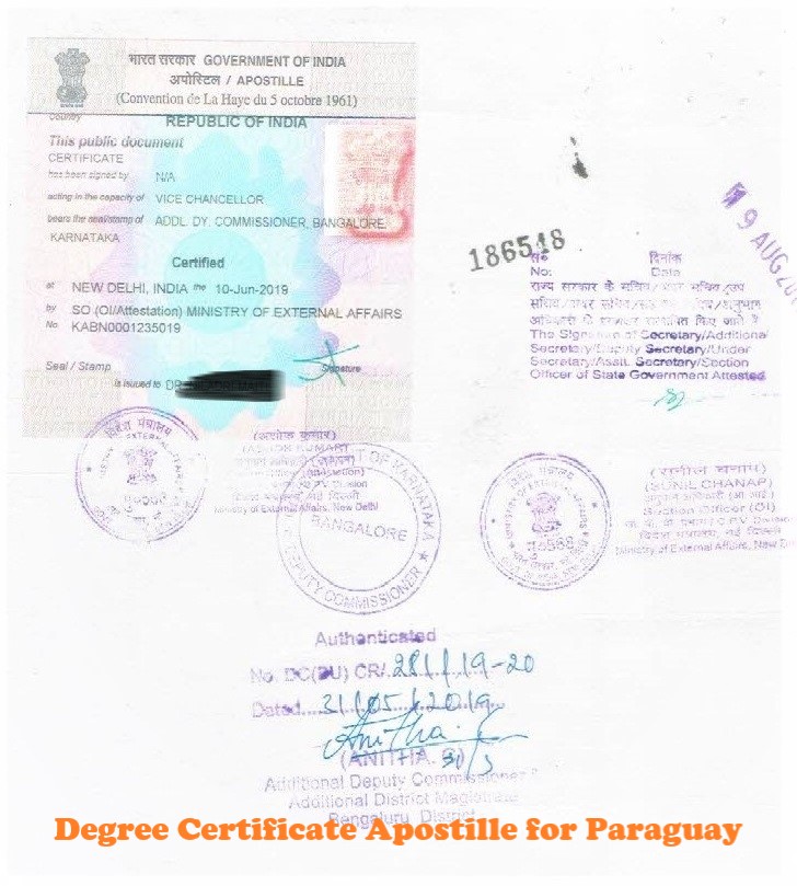 Degree Certificate Apostille for Paraguay